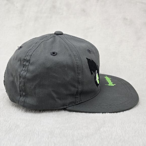 Vintage Goosebumps Youth Snapback Hat Gray Green Spooky Eyes 1996 90s Annco - Picture 5 of 11